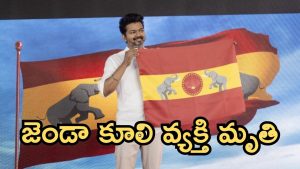 Thalapathy Vijay: ప్రాణం తీసిన జెండా, విజయ్ టీవీకే పార్టీ కి ఇబ్బందులు