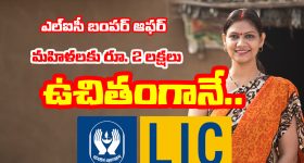 LIC Bima Sakhi Yojana: మహిళలకు LIC బంపర్ ఆఫర్ - ఉచితంగా 2 లక్షలు ఇవ్వనున్న కేంద్రం
