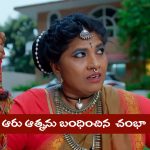 Nindu Noorella Saavasam Serial Today August 23rd: ‘నిండు నూరేళ్ల సావాసం’ సీరియల్‌:  ఆరును చిలుకలో బంధిస్తానన్న చంభా  