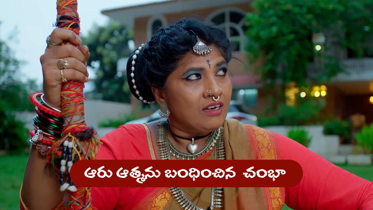 Nindu Noorella Saavasam Serial Today August 23rd: ‘నిండు నూరేళ్ల సావాసం’ సీరియల్‌:  ఆరును చిలుకలో బంధిస్తానన్న చంభా  