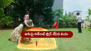 Nindu Noorella Saavasam Serial Today August 25th: ‘నిండు నూరేళ్ల సావాసం’ సీరియల్‌: ఆరుపై రివేంజ్‌ తీర్చుకుంటానన్న మను