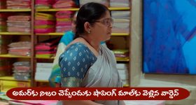 Nindu Noorella Saavasam Serial Today August 29th: ‘నిండు నూరేళ్ల సావాసం’ సీరియల్‌: నిజం చెప్పడానికి షాపింగ్‌ మాల్‌కు వెళ్లిన వార్డెన్‌ సరస్వతి