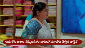 Nindu Noorella Saavasam Serial Today August 29th: ‘నిండు నూరేళ్ల సావాసం’ సీరియల్‌: నిజం చెప్పడానికి షాపింగ్‌ మాల్‌కు వెళ్లిన వార్డెన్‌ సరస్వతి
