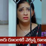 Nindu Noorella Saavasam Serial Today August 5th : ‘నిండు నూరేళ్ల సావాసం’ సీరియల్‌: అమర్‌ ఇంటికి కాలాను పంపిన చంభా   
