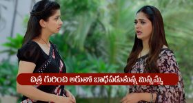 Nindu Noorella Saavasam Serial Today August 8th : ‘నిండు నూరేళ్ల సావాసం’ సీరియల్‌: చిత్ర విషయంలో ఆరుతో బాధపడ్డ  మిస్సమ్మ
