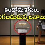 200 Year Old Condom: ఏంటీ.. ఈ కండోమ్ 200 ఏళ్ల నాటిదా? అస్సలు ఊహించి ఉండరు!