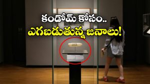 200 Year Old Condom: ఏంటీ.. ఈ కండోమ్ 200 ఏళ్ల నాటిదా? అస్సలు ఊహించి ఉండరు!