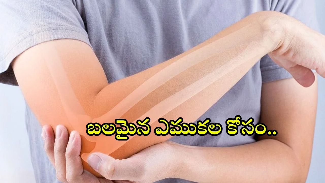 Bone Health: ఎముకలు బలంగా ఉండాలంటే ?