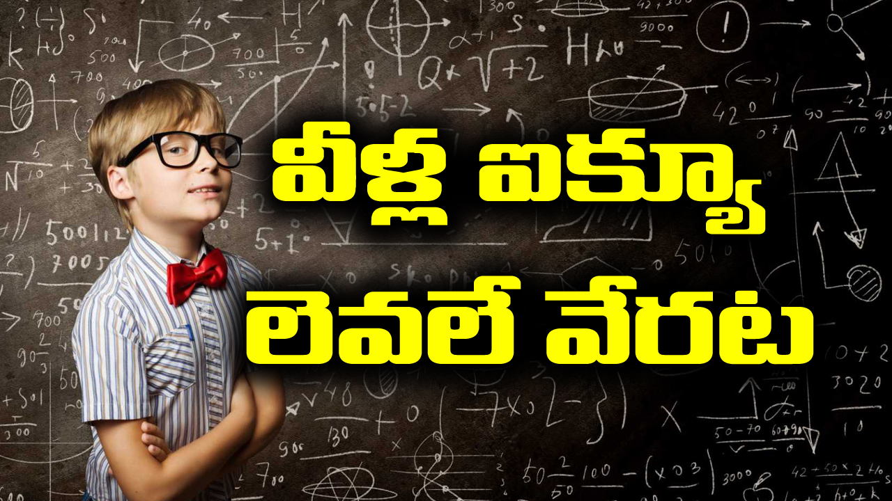 Genius By Birth: అత్యంత తెలివైసిన జాతకులు ఎక్కువగా ఆ రాశుల్లోనే పుడతారట