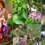 Ganesh Chaturthi 2025: వినాయకుడిని 21 పత్రాలతోనే.. ఎందుకు పూజించాలి ?