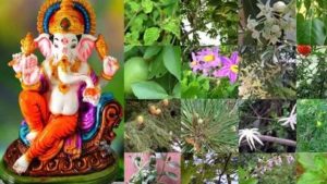 Ganesh Chaturthi 2025: వినాయకుడిని 21 పత్రాలతోనే.. ఎందుకు పూజించాలి ?