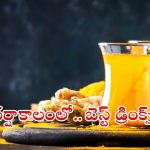 Monsoon Drinks: వర్షాకాలంలో వ్యాధులు రాకుండా ఉండాలంటే ?