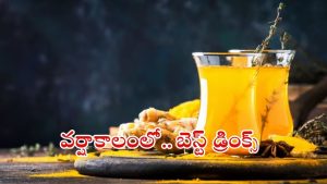 Monsoon Drinks: వర్షాకాలంలో వ్యాధులు రాకుండా ఉండాలంటే ?