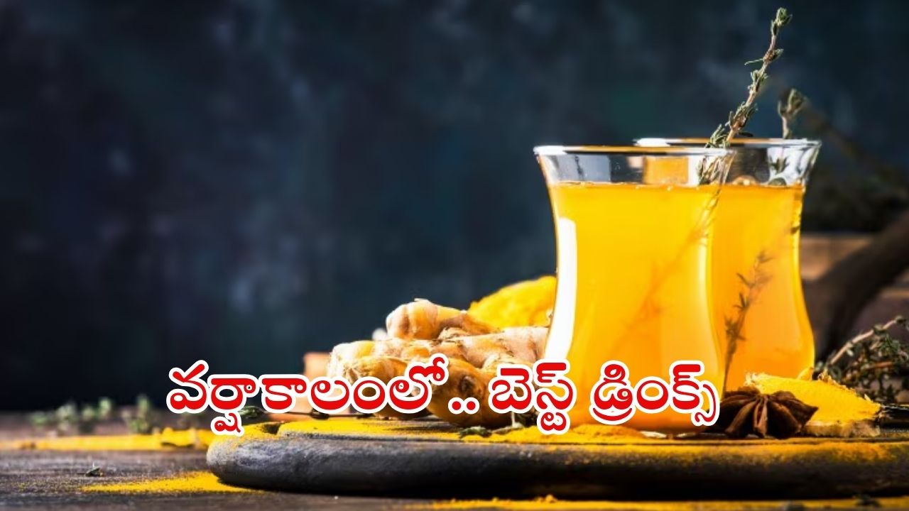 Monsoon Drinks: వర్షాకాలంలో వ్యాధులు రాకుండా ఉండాలంటే ?