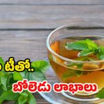 Mint Tea: పుదీనా టీ తాగితే.. నమ్మలేనన్ని ప్రయోజనాలు !