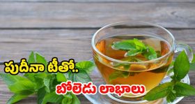 Mint Tea: పుదీనా టీ తాగితే.. నమ్మలేనన్ని ప్రయోజనాలు !