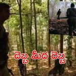 Gadchiroli Encounter: 8 గంటలపాటు గడ్చిరోలిలో ఎన్‌కౌంటర్.. నలుగురు మావోలు మృతి, గాలింపు ముమ్మరం