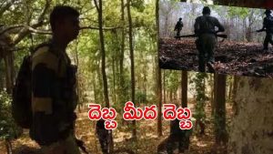 Gadchiroli Encounter: 8 గంటలపాటు గడ్చిరోలిలో ఎన్‌కౌంటర్.. నలుగురు మావోలు మృతి, గాలింపు ముమ్మరం