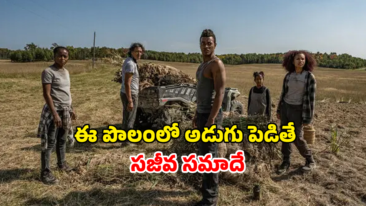 OTT Movie : 90 శాతం జంతుజాతిని తుడిచి పెట్టేసే వైరస్… మనుషుల్ని ముక్కలు ముక్కలుగా నరికేసే అమ్మాయిలు… నరాలు తెగే ఉత్కంఠ