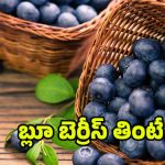 Blueberry Benefits: బ్లూబెర్రీతో షుగర్ కంట్రోల్, హార్ట్ ఎటాక్స్ దూరం.. మరెన్నో ప్రయోజనాలు !