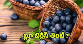 Blueberry Benefits: బ్లూబెర్రీతో షుగర్ కంట్రోల్, హార్ట్ ఎటాక్స్ దూరం.. మరెన్నో ప్రయోజనాలు !