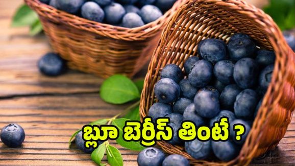 Blueberry Benefits: బ్లూబెర్రీతో షుగర్ కంట్రోల్, హార్ట్ ఎటాక్స్ దూరం.. మరెన్నో ప్రయోజనాలు !