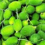 Spiny Gourd Benefits: కూరగాయల్లో రారాజు.. వర్షాకాలంలో మాత్రమే దొరికే వీటిని అస్సలు మిస్సవ్వొద్దు