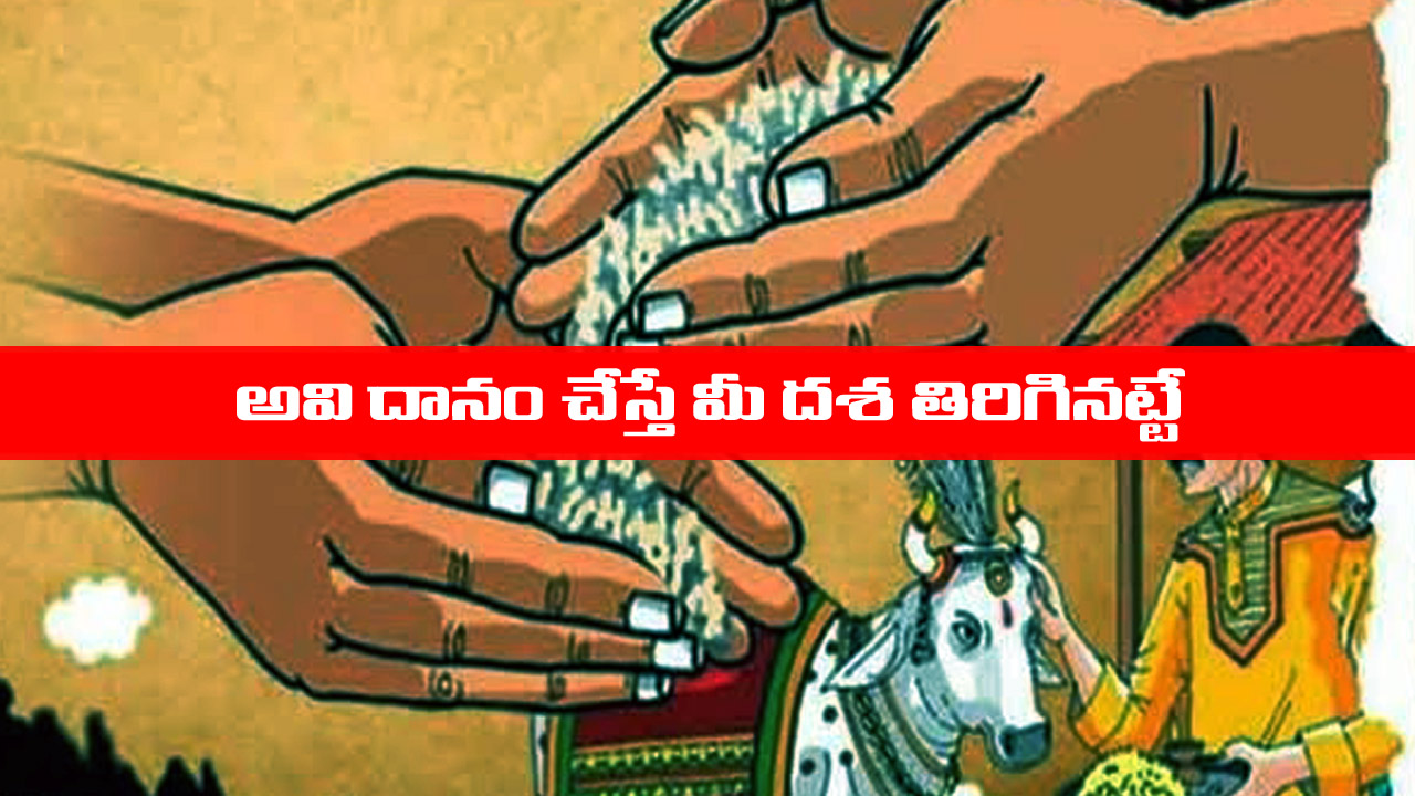 Bad Karma: చెడు కర్మలు తొలగి కోట్లు సంపాదించాలా..? అయితే ఈ దానాలు చేయండి