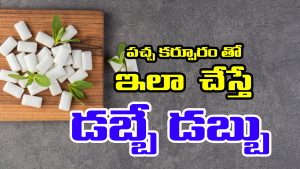 Green Camphor:  పచ్చ కర్పూరానికి ఉన్న పవరేంటో తెలుసా..? తెలుసుకుంటే అద్భుతాలు చూస్తారట