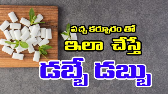 Green Camphor:  పచ్చ కర్పూరానికి ఉన్న పవరేంటో తెలుసా..? తెలుసుకుంటే అద్భుతాలు చూస్తారట