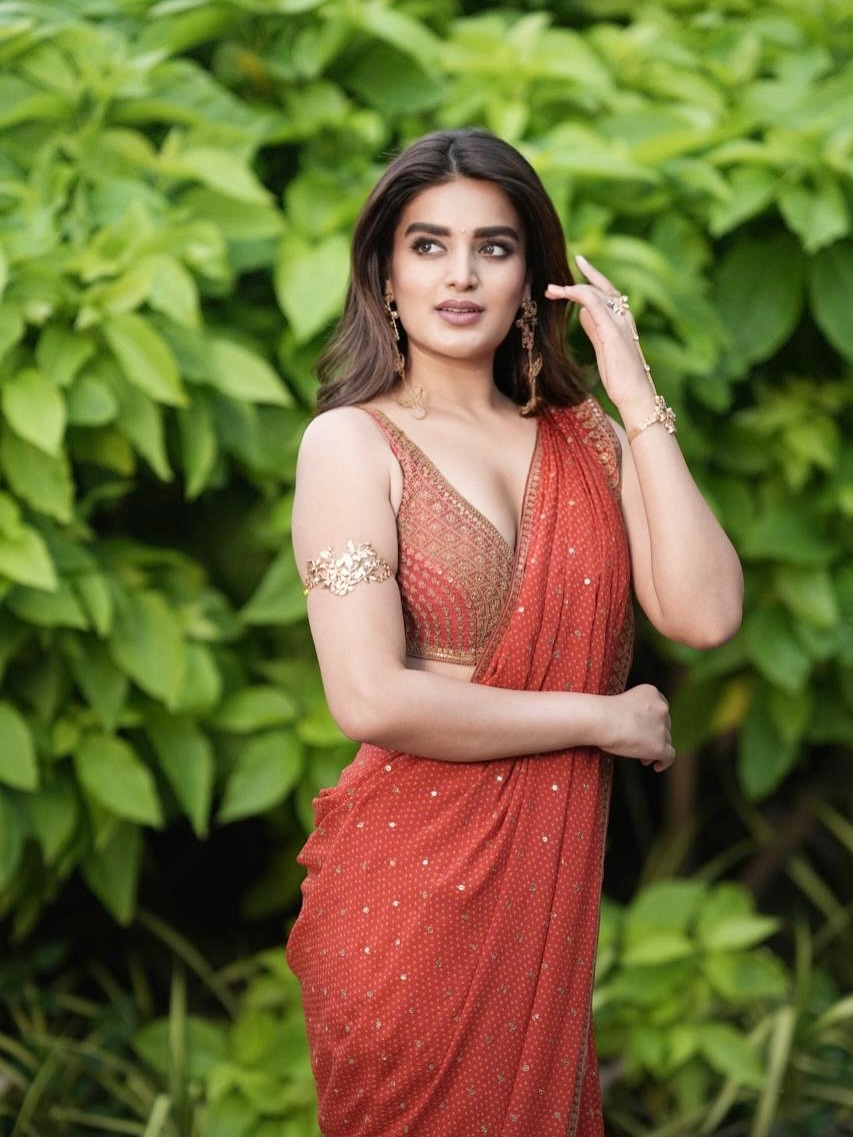 Actress Nidhhi Agerwal Photo Gallery