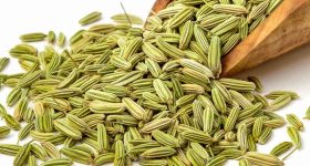 Fennel Seeds: సోంపు తినడం వల్ల ఎన్ని లాభాలుంటాయో తెలిస్తే.. ఆశ్చర్యపోతారు !