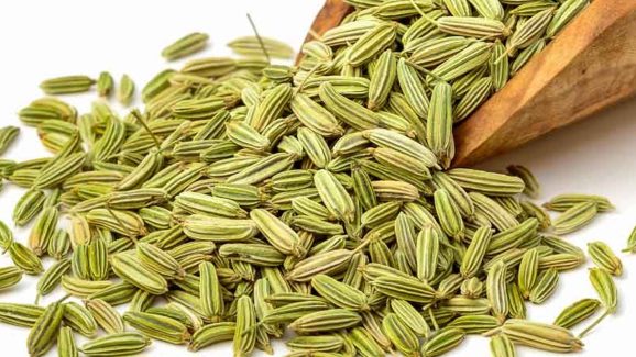Fennel Seeds: సోంపు తినడం వల్ల ఎన్ని లాభాలుంటాయో తెలిస్తే.. ఆశ్చర్యపోతారు !