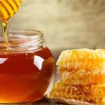 Honey in Monsoon: వర్షాకాలంలో తేనె తింటే.. ఇన్ని ప్రయోజనాలా ?