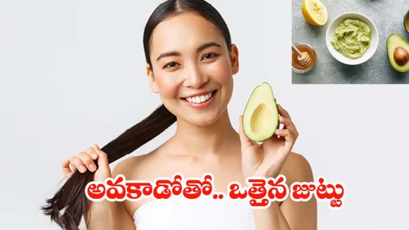 Avocado For Hair: అవకాడోతో మ్యాజిక్.. ఇలా వాడితే ఒత్తైన జుట్టు