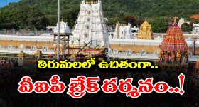 Tirumala VIP Free Darshan:  ఉచితంగా తిరుమల శ్రీవారి వీఐపీ బ్రేక్ దర్శనం కావాలా? అయితే ఇలా చేయండి