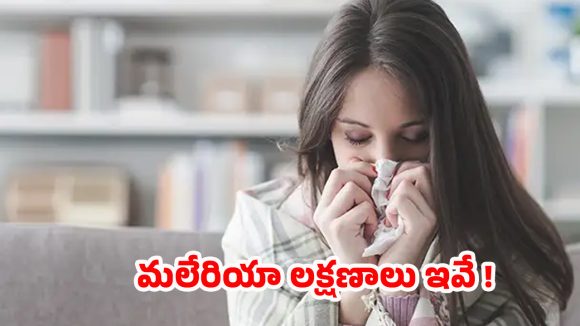 Malaria Fever: మలేరియా లక్షణాలు, తీసుకోవాల్సిన జాగ్రత్తలు ఇవే !