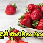 Strawberries: డైలీ స్ట్రాబెర్రీలు తింటే.. శరీరంలో జరిగే మార్పులివే !