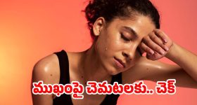 Karungali Mala: ఒక చిన్న మాల.. జీవితాన్ని మార్చేస్తుందా? ఇది దేవుని ఆశీర్వాదమా!