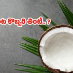 Coconut Benefits: రాత్రి పూట కొబ్బరి తింటే.. మతిపోయే లాభాాలు !