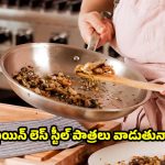 Steel Pans: స్టీల్ పాత్రల్లో.. వీటిని పొరపాటున కూడా వండకూడదు !