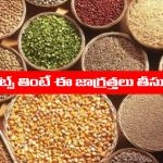 Millets: మిల్లెట్స్ తింటున్నారా..? అయితే ఈ విషయాలు తప్పక తెలుసుకోవాలి