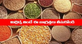Millets: మిల్లెట్స్ తింటున్నారా..? అయితే ఈ విషయాలు తప్పక తెలుసుకోవాలి