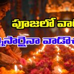 Puja Items: ఆ నాలుగు వస్తువులు ఎంత పాతబడినా పూజలో ఉపయోగించవచ్చట – అవేంటో తెలుసా..?