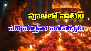 Puja Items: ఆ నాలుగు వస్తువులు ఎంత పాతబడినా పూజలో ఉపయోగించవచ్చట – అవేంటో తెలుసా..?