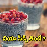 Chia Seeds: నానబెట్టిన చియా సీడ్స్ తింటే.. ఇన్ని లాభాలా ?
