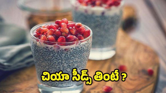 Chia Seeds: నానబెట్టిన చియా సీడ్స్ తింటే.. ఇన్ని లాభాలా ?