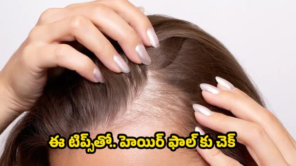 Hair Fall: ఈ టిప్స్ పాటిస్తే.. జుట్టు ఊడమన్నా ఊడదు !