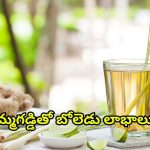 Lemon Grass Tea: నిమ్మ గడ్డితో.. ఈ ఆరోగ్య సమస్యలన్నీ పరార్ !