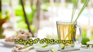 Lemon Grass Tea: నిమ్మ గడ్డితో.. ఈ ఆరోగ్య సమస్యలన్నీ పరార్ !